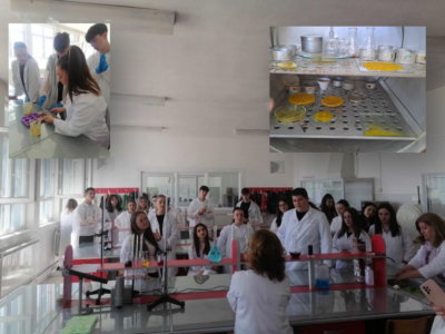 Screenshot 2024-10-18 150902 Screenshot 2024-10-18 150902